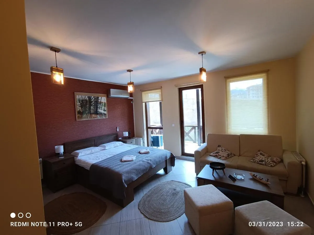 Studio D06, Green Life Bansko Aparthotel 0*,